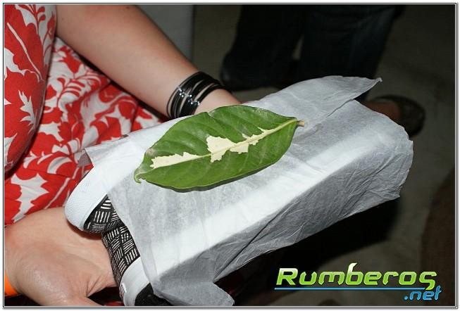 rumberos imagenen de galeria
