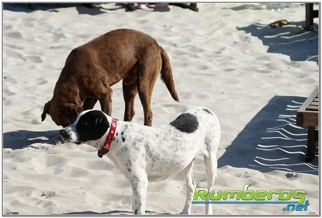 rumberos imagenen de galeria