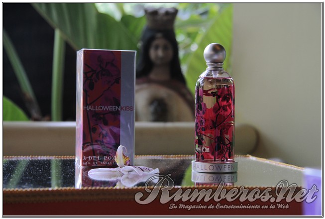 rumberos imagenen de galeria