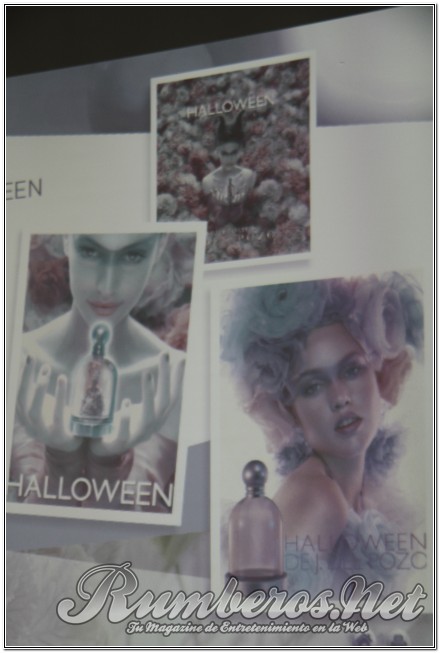 rumberos imagenen de galeria