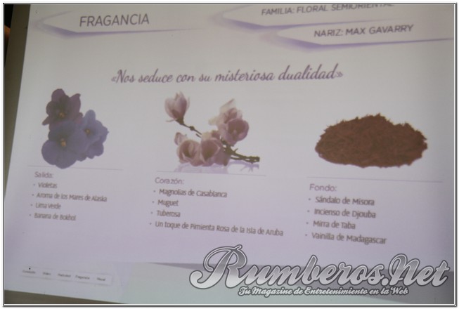 rumberos imagenen de galeria