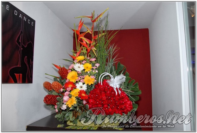 rumberos imagenen de galeria