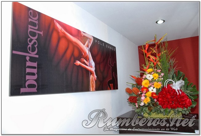 rumberos imagenen de galeria