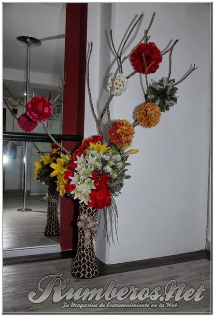 rumberos imagenen de galeria