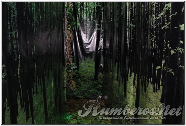 rumberos imagenen de galeria