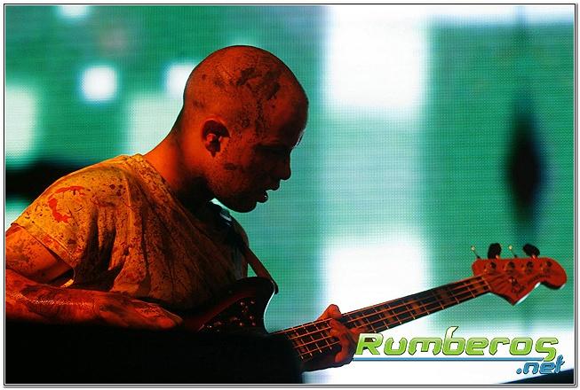 rumberos imagenen de galeria