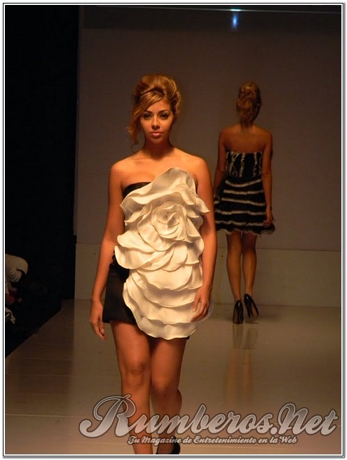 rumberos imagenen de galeria