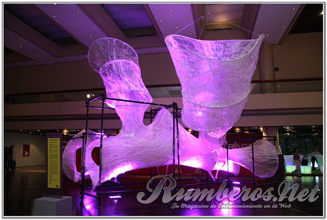 rumberos imagenen de galeria