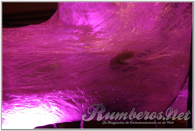 rumberos imagenen de galeria