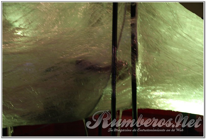 rumberos imagenen de galeria