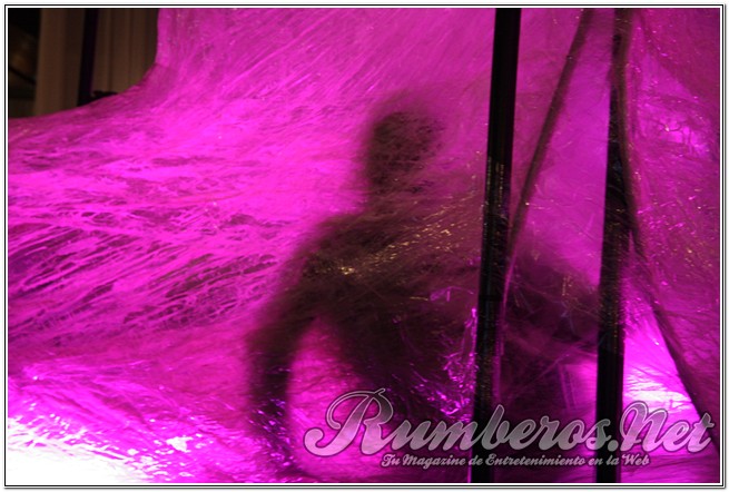 rumberos imagenen de galeria