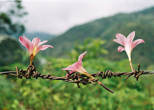 Segundo Premio: Alejandro Pernía Segundo Premio: Alejandro Pernía